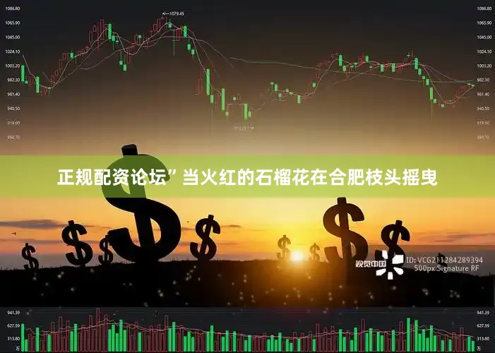 正规配资论坛”当火红的石榴花在合肥枝头摇曳