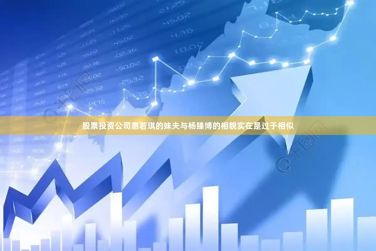 股票投资公司惠若琪的妹夫与杨臻博的相貌实在是过于相似
