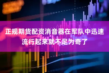 正规期货配资消音器在军队中迅速流行起来就不足为奇了