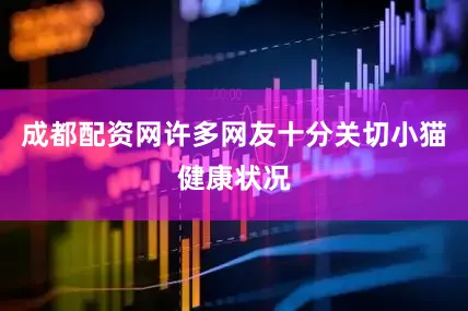 成都配资网许多网友十分关切小猫健康状况