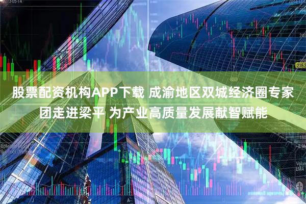 股票配资机构APP下载 成渝地区双城经济圈专家团走进梁平 为产业高质量发展献智赋能