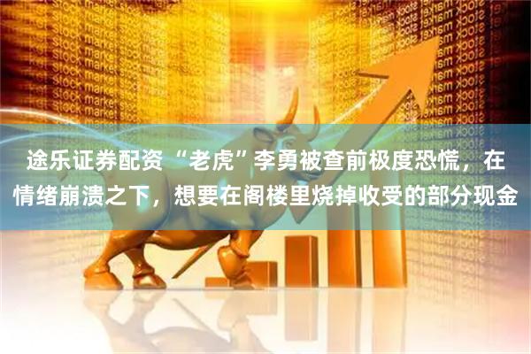 途乐证券配资 “老虎”李勇被查前极度恐慌，在情绪崩溃之下，想要在阁楼里烧掉收受的部分现金