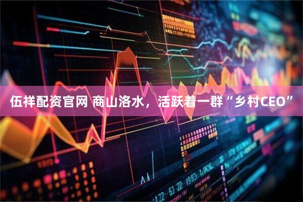 伍祥配资官网 商山洛水，活跃着一群“乡村CEO”